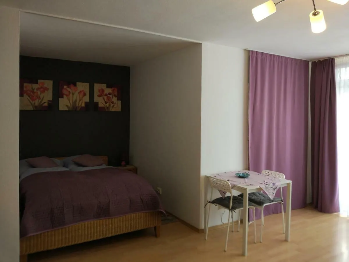 Hausburg Studio. City View Augsburg Apartment